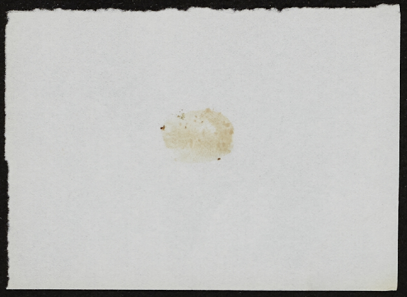 Miloš Šejn – Doteky / Zebín 