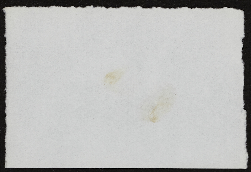 Miloš Šejn – Doteky / Zebín 