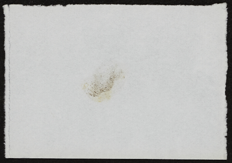 Miloš Šejn – Doteky / Zebín 