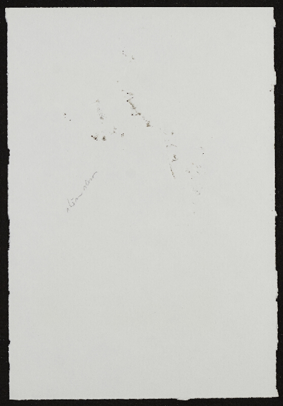 Miloš Šejn – Otisky skladních stěn po dešti / Zebín 