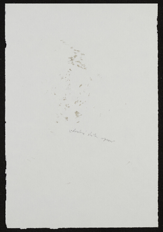 Miloš Šejn – Otisky skladních stěn po dešti / Zebín 