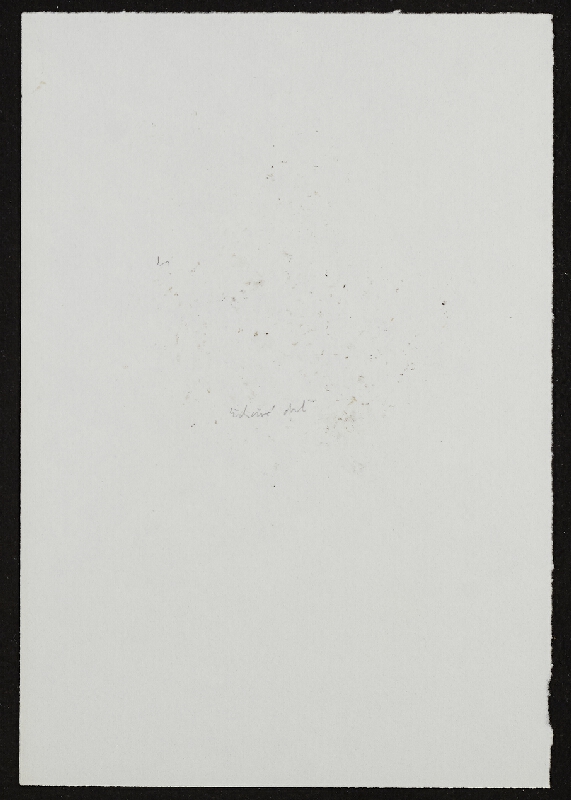 Miloš Šejn – Otisky skladních stěn po dešti / Zebín 