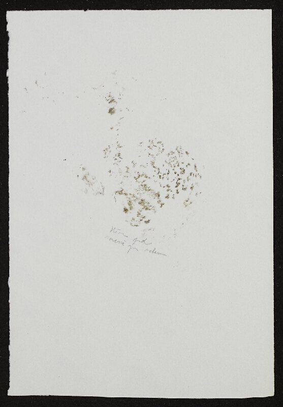 Miloš Šejn – Otisky skladních stěn po dešti / Zebín 