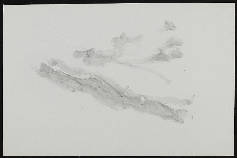 Miloš Šejn – / Sedm kamenů / sedm doteků, Zebín 31. 12. 1988 