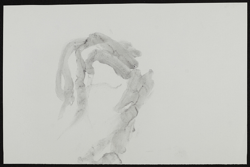 Miloš Šejn – / Sedm kamenů / sedm doteků, Zebín 31. 12. 1988 