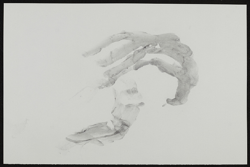 Miloš Šejn – / Sedm kamenů / sedm doteků, Zebín 31. 12. 1988 