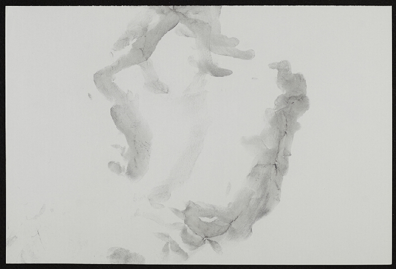 Miloš Šejn – / Sedm kamenů / sedm doteků, Zebín 15. 1. 1989 