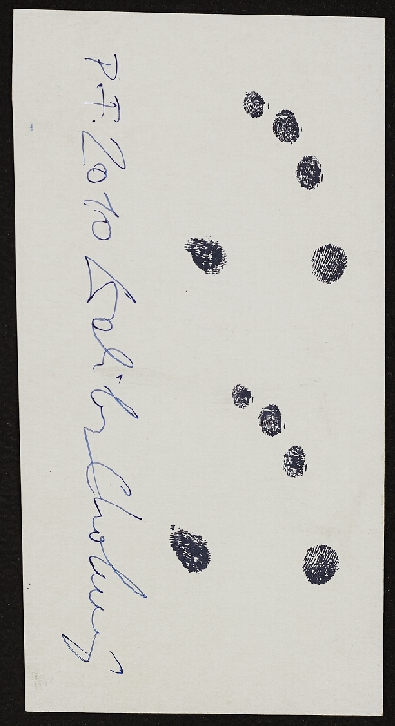 Dalibor Chatrný – PF 2010 