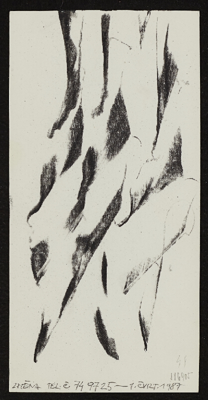 Dalibor Chatrný – PF 1987 