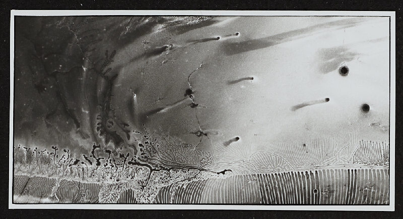 Miloš Koreček – PF 1976 