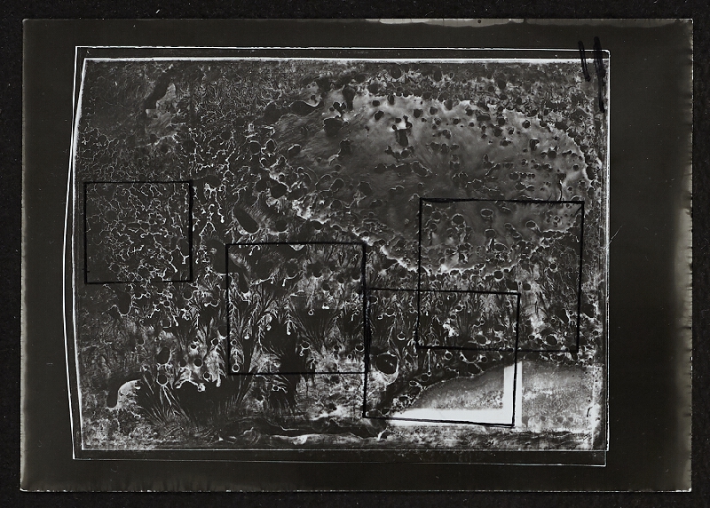 Miloš Koreček – interpretace fokalku 