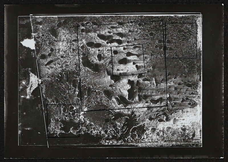 Miloš Koreček – interpretace fokalku 