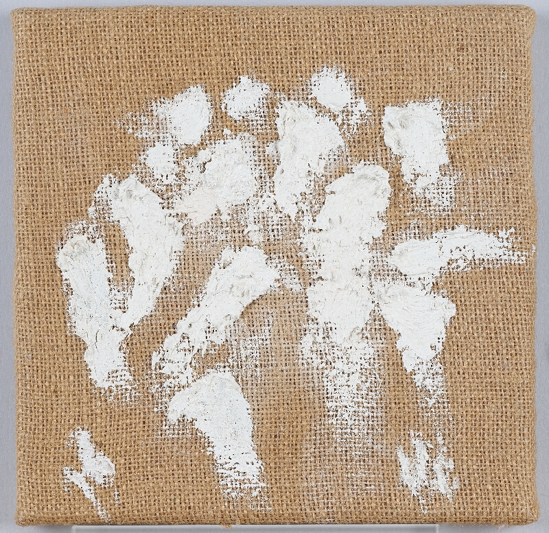 Miroslav Šnajdr – Bílé doteky 