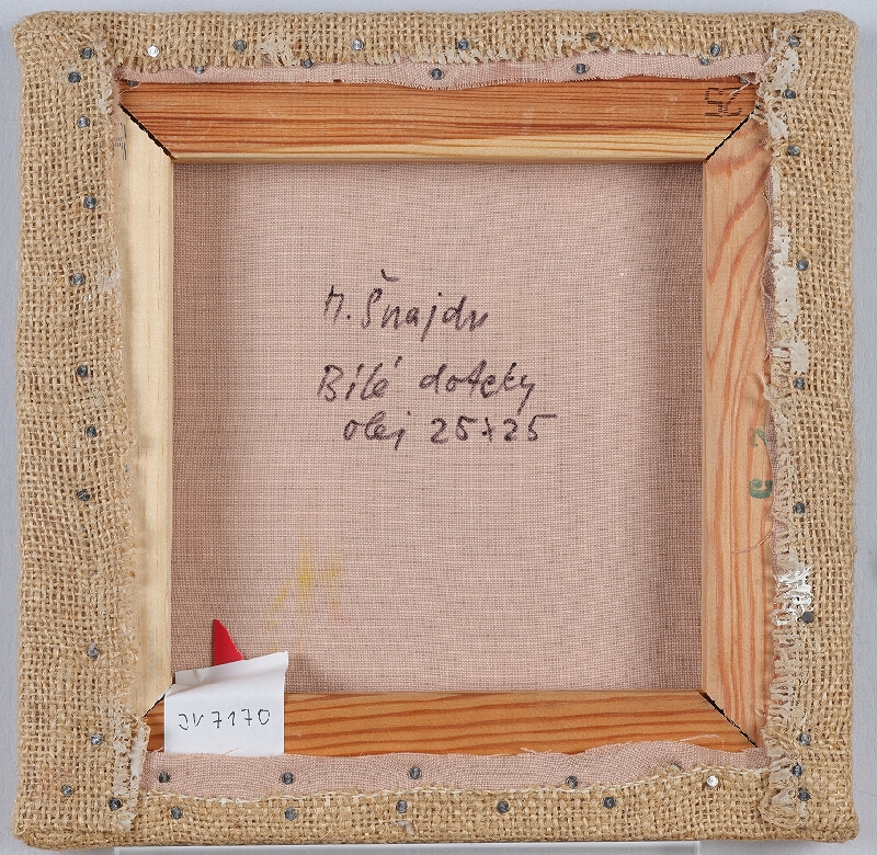 Miroslav Šnajdr – Bílé doteky 