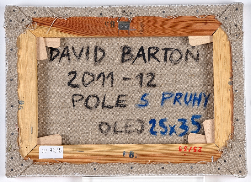 David Bartoň – Pole s pruhy 