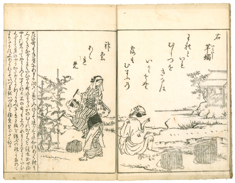 Nishikawa Sukenobu – Ehon Makuzugahara / 絵本真葛か原 (obrazová kniha Pole šarlatového kudzu) 