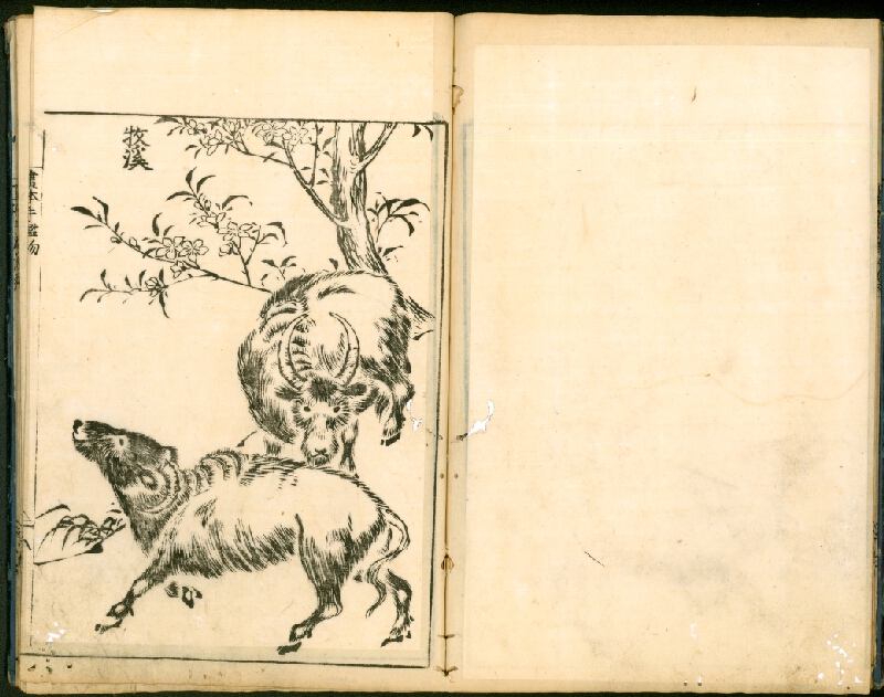 Ōoka Shunboku – Ehon Té-kagami / 絵本手鑑 (Kniha vzorových obrazů) 