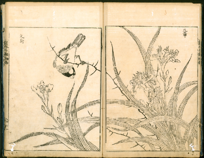 Ōoka Shunboku – Ehon Té-kagami / 絵本手鑑 (Kniha vzorových obrazů) 