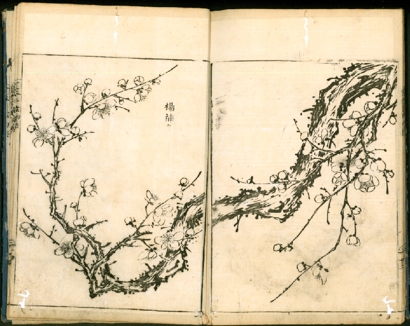 Ōoka Shunboku – Ehon Té-kagami / 絵本手鑑 (Kniha vzorových obrazů) 