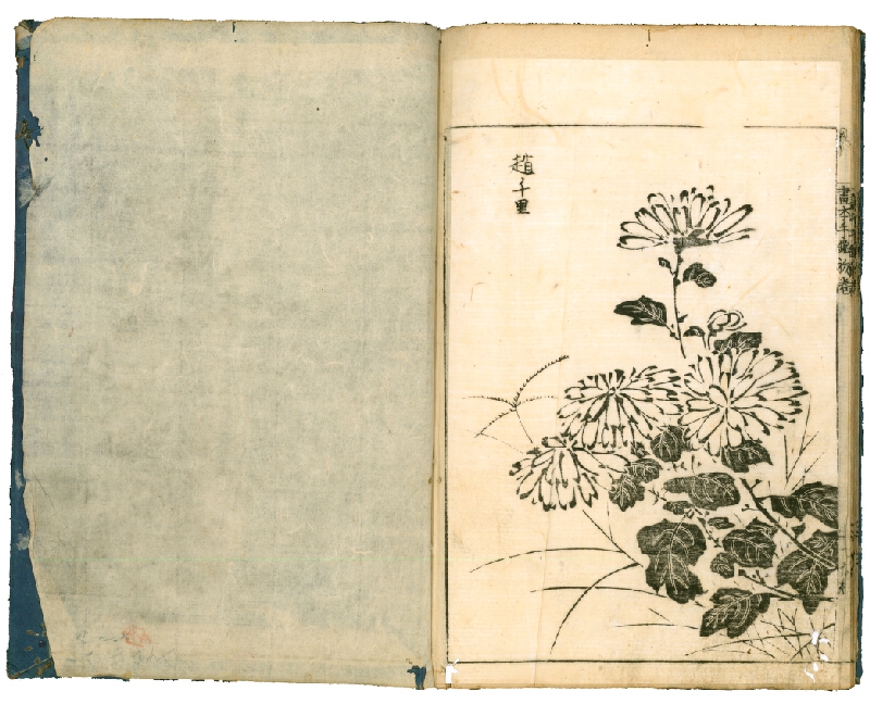 Ōoka Shunboku – Ehon Té-kagami / 絵本手鑑 (Kniha vzorových obrazů) 