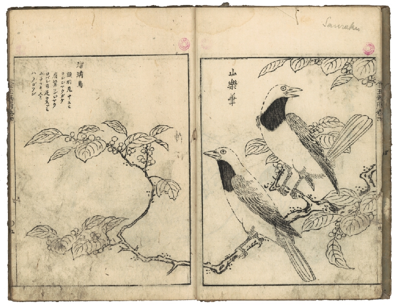 Tsukioka Settei – Obrazová kniha „Zlata a drahokamů“ 